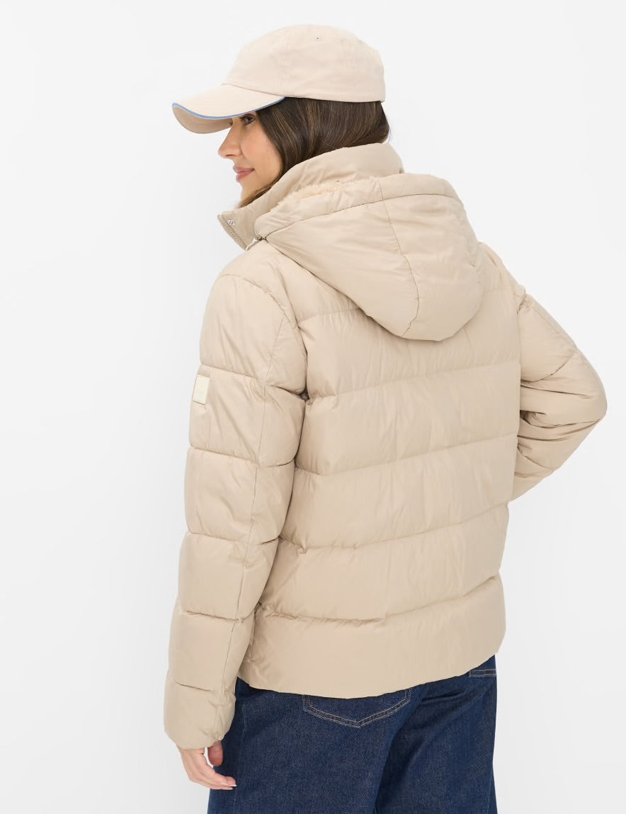 Късо Яке Zermatt